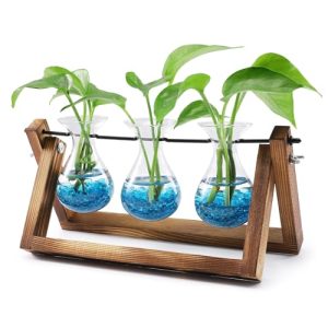 Plant Propagation Station - 3 Bulb Vase