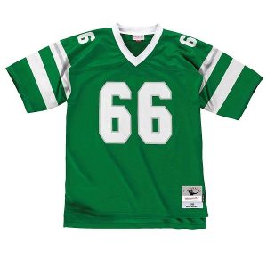 Men Philadelphia Eagles #66 Bill Bergey Green Stitched Jersey