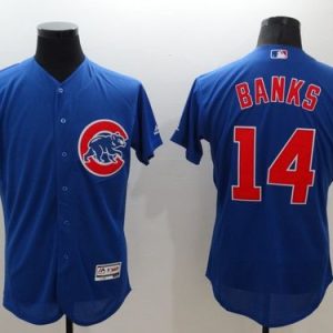 Chicago Cubs #14 Ernie Banks Blue Flexbase Collection Stitched MLB Jersey