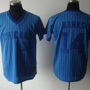 Chicago Cubs #14 Ernie Banks Blue White Strip Stitched Cooperstown Throwback MLB Jersey