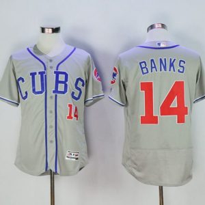 Chicago Cubs #14 Ernie Banks Grey Flexbase Collection Alternate Road Stitched MLB Jersey