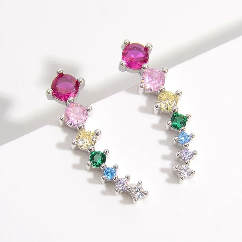 925 Sterling Silver Inlaid Zircon Earrings - Silver