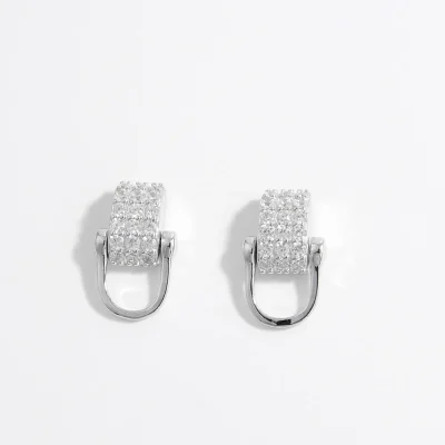 925 Sterling Silver Inlaid Zircon Earrings - Silver